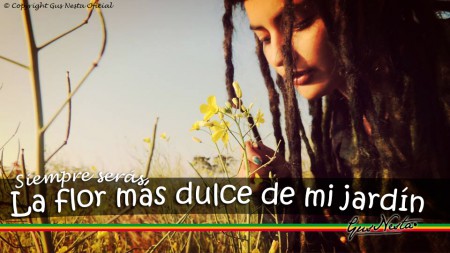 © Copyright Gus Nesta Oficial Edición 2014